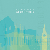 Snarky Puppy: We Like It Here