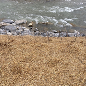 Blanche Interrupting