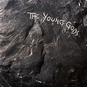 The Young Gods: The Young Gods (Deluxe Edition)