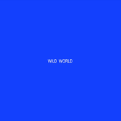 Wild World - Single