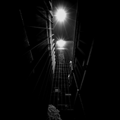 Intersecting Lines 1: Vertical