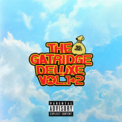 The Gatridge Deluxe Vol. 1 + 2