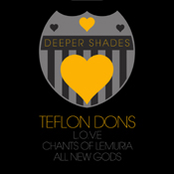 Deeper Shades Loves Teflon Dons