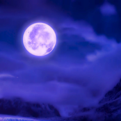 Lunarchant