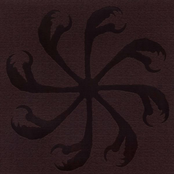 Moss & Memory Collection