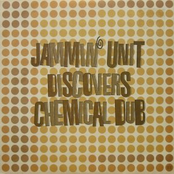 Chemical Dub by Jammin' Unit