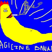 magiczne banany