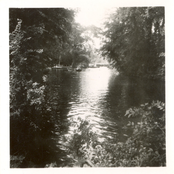 The Rural Tradition LP