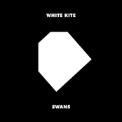 Swans