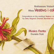 Vestiva i colli