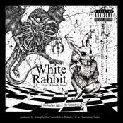 White Rabbit