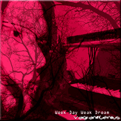 Week Day Weak Dream