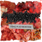Fidelis Ad Mortem