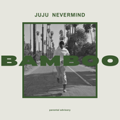 BAMBOO (unmixed unmastered)