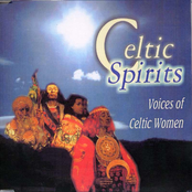 celtic spirits