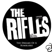 August by The Rifles