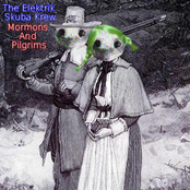 Mormons And Pilgrims