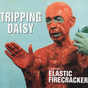 Tripping Daisy: I Am An Elastic Firecracker