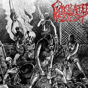 The Mutilated Face Of Terror