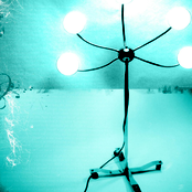 Race For Titles: s/t