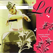 Beauty School Dropout