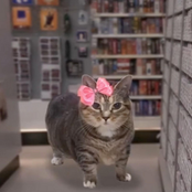 After Dark (OIIAOIIA Cat Version)