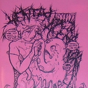 Sugarsplash