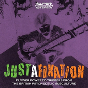 Justafixation: Flower Powered Trippers from the British Psychedelic Subculture