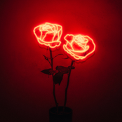 Paul McDonald: Modern Hearts