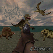 Carnivore