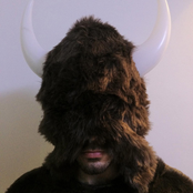 Bull In A China Shop