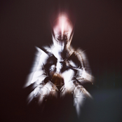 BRONQ 3001: THE KING IS DEAD