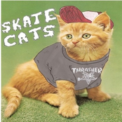 skate cats