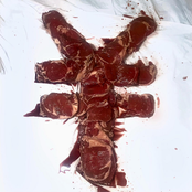 Feed Me Money - Single