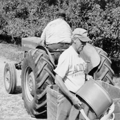 Scouts are Cancelled Songs