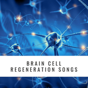 Brain Cell Regeneration Songs: Doctor Designed Brain Cell Healing Sounds