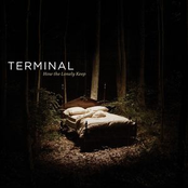 Watching, Wasting, Waiting by Terminal