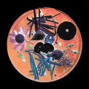 The Ambient Cookbook CD1