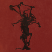 todas as flores que eu roubei pra você