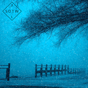 Twinkle or Foxes Screaming in a Winter Forest in the Dead of Night
