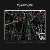 Palefade.: Insurmountable Grief and the Loss of Everything Dear