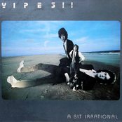 Yipes!: A Bit Irrational