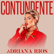 Contundente