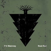 Root Rot