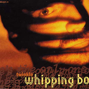 A Natural by Whipping Boy