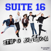 Stupid Lovesong - Single