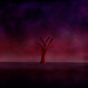 If Only It Was Warmth