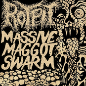 Massive Maggot Swarm