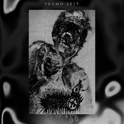 Promo 2019