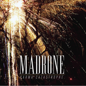 Bullet And A Reason by Madrone